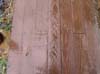 Stamped Concrete barn skirting