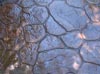 Concrete form stamping