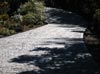 Concrete Texturing & Design